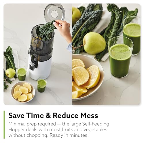 Vertical Masticating Juicer Machine