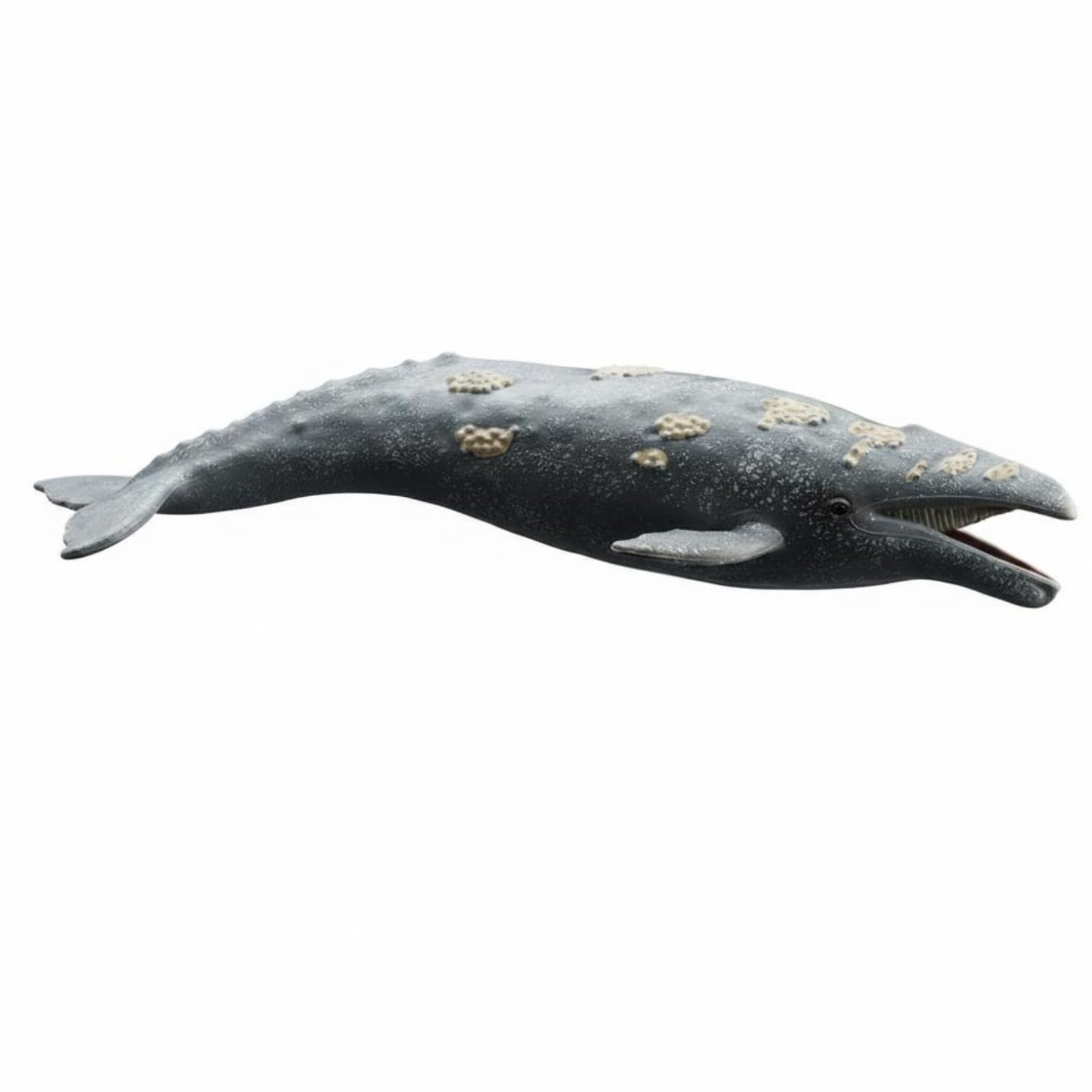 Bffcnl Realistic Animal Model Educational Marine Mammal Toy Cetacean Figure Model for Kids, Playroom, Solid Gray Whale