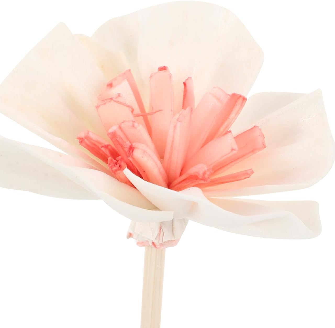 Lurrose 5 pcs Flower Diffuser Sticks Fire-Free Aromatherapy Sticks Replacement for Aroma Bottle Flower Diffuser Decorative Reed Sticks for Home Bedroom Office Decor