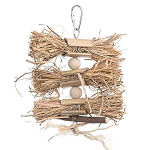 Pervue Pet Products Naturals Preen & Pacify Woodland Harvest Bird Toy 62549