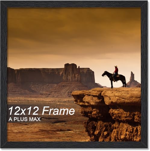 A PLUS MAX 12x12 Picture Frame Black Light Weight Wall Mount