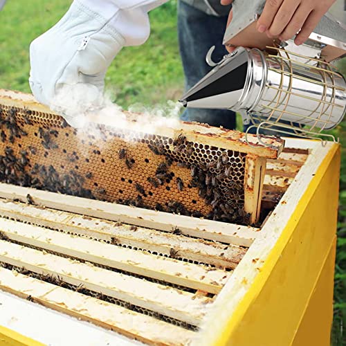 Shanrya Bienenstockraucher, kühler Rauch Gute Belüftung einfach zu lagern galvanisierter Eisen Bienenstockraucher für… – Bild 5