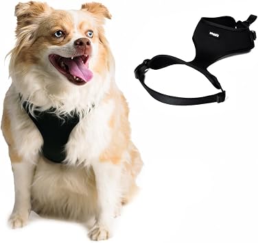 Adjustable Dog Harness for Dogs | Soft, No-Pull Step-in Harness with Quick-Release Buckles | Comfortable Everyday Pet Harness by Happy Three