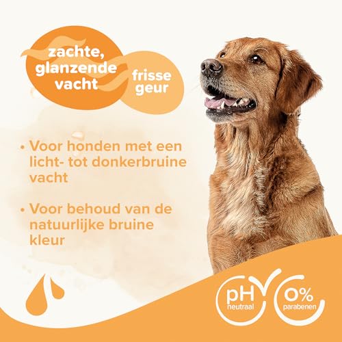BEAPHAR - Essential Brown Peeling Hunde Shampoo - Extra fein - Glänzendes Fell - Enthält Manuka Honig und Aloe Vera - Parabene und Silikon - pH neutral - 250 ML