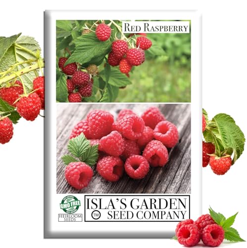 Pink Raspberry Seeds. Amazon Buy Raspberry Seeds: Best Deals & Varieties For Sale