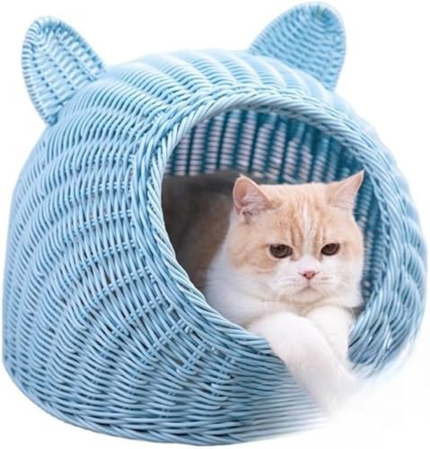 PVTK ^X^C҂ݔLxbh 킢h[^LnEX ^Lxbh ^TCY 􂦂 ʋC lGΉ ybgxbh N[}bg Rbgpbht (50*50cm,u[)