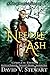 Needle Ash (The Eternal Dream)