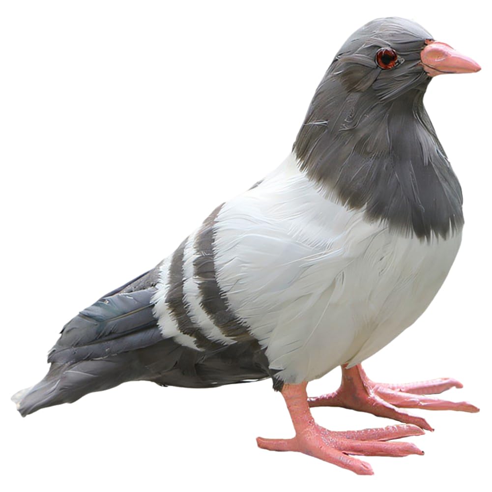Hrippy Style 1 Pigeon Statue Animal Figurine Artwork Craft Realistic Sculpture Garden Ornament For Party Landscape Hallway Yard Balcony