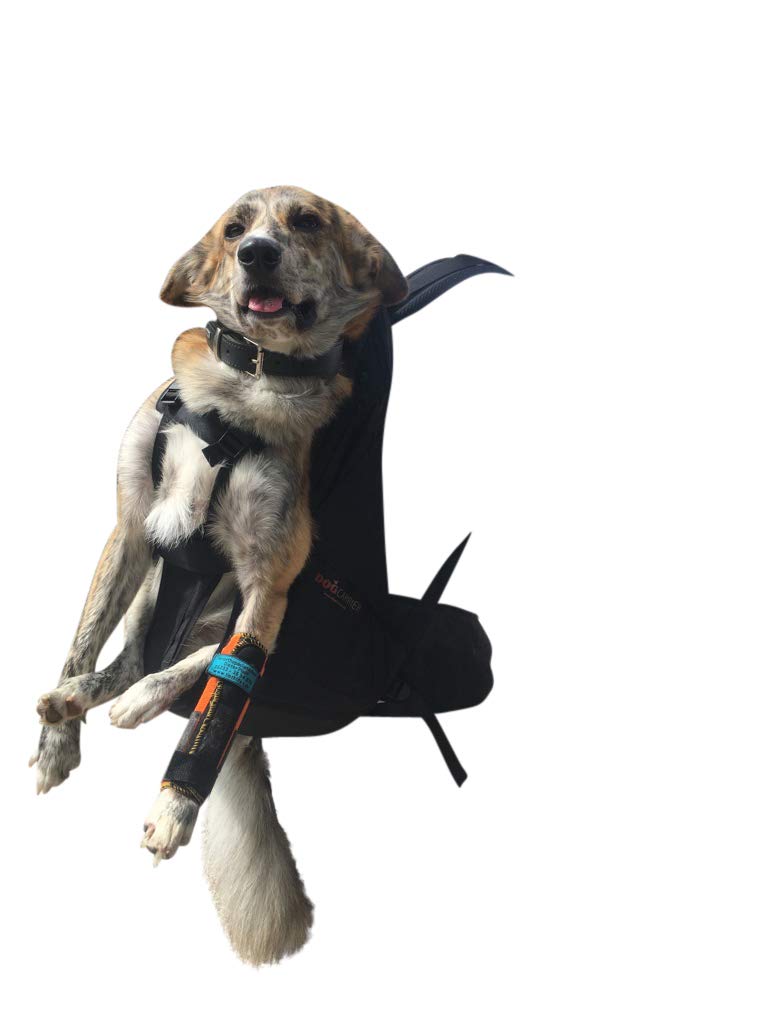 Dog Carrier T2 - Zaino per cani fino a 16 kg come zaino per cani/borsa per cani/borsa per cani