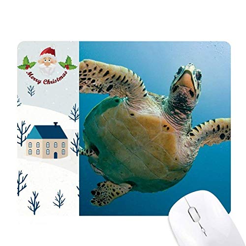 I[Vu[̐J̉Ȋw͎R̎ʐ^ T^N[XƉS̃}EXpbh