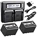 Kastar Fast Dual LCD Charger + 2X Battery for Panasonic VW-VBD58 VW-VBD29 and AG-DVX200PJ AG-3DA1 AG-AC8 AC8EJ AG-AC8PJ AG-AC30 AG-DVC30 AG-HPX171 AG-HPX255 AG-HVX201 AJ-PCS060 AJ-PX230