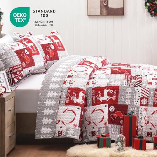 Newspin-Christmas-Quilt-Set-Queen-Size-Soft-Reversible-Quilted-Christmas-Bedspread-Coverlet-Lightweight-FullQueen-Quilt-Bedding-Sets-with-Xmas-Santa-Tree-Snowman-Red-Plaid-Patchwork-Pattern Newspin Christmas Quilt Set Queen Size Soft Reversible Quilted Christmas Bedspread Coverlet Lightweight FullQueen Quilt Bedding Sets with Xmas Santa Tree Snowman Red Plaid Patchwork Pattern