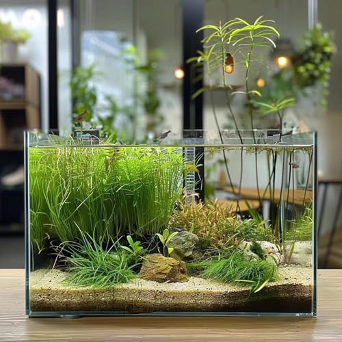 Vimvins 3 Gallon Glass Fish Tank, Easy To Maintain Small Aquarium For Betta/Goldfish/Snails/Shrimp And Aquatic Planting. thumb #3