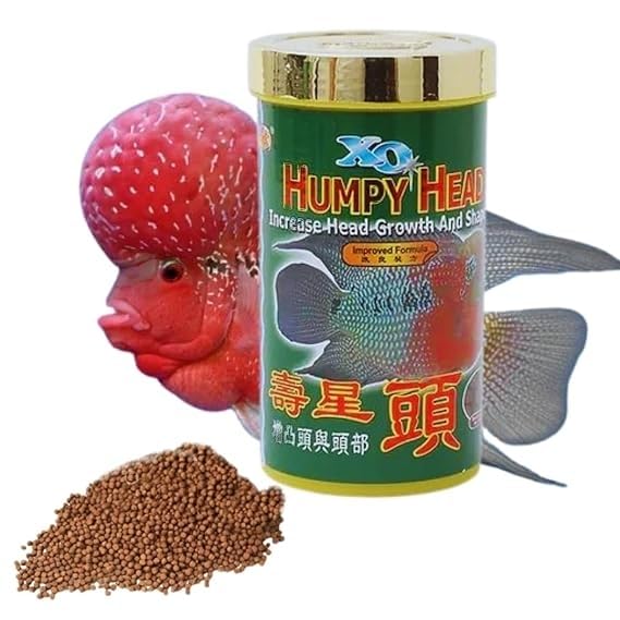 XO Humpy Head (400g) Flower Horn Fish Food Pellets (Original), to Increases Head Growth and Shape (B0DGQHWCN9) Amazon Price History, Amazon Price Tracker