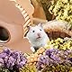 Sukh Herb Bedding Habitat Decor - Natural Flower Hamster Mate Herbs Sprays Cage Safe Pet Accessories Decorations Hideout for Hamsters Mouse Guinea Pig Dwarf Gerbils Syrian Mice
