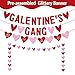 Galentines Gang Banner with Love Hearts,Happy Galentine’s Day Banner Garland Hanging Swirls,Galentines Day Party Decorations,Happy Valentines Day Decorations,Girl Lady Galentines Day Party Decor GTG
