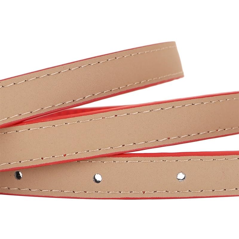 Waistband Women's Cowhide Decoration With Skirt Suit Shirt Waistband Needle Buckle Jeans Small Belt3