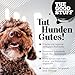 THE GOODSTUFF Lachs (Puppy/Junior) 2,5 kg | Getreidefreies Hunde Trockenfutter Junior | Mit frischem Lachs | Hundetrockenfutter für Welpen & Junghunde | Ausgewogenes Super-Premium Welpen Trockenfutter