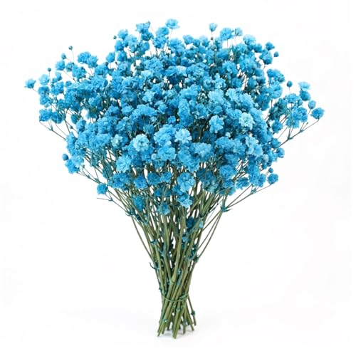 LAKPYN 50 PièCes Souffle De BéBé Fleurs SéChéEs,DéCoration De Fleurs Artificielles,Pour Diy Cadres Photo, Marque-Pages, Cartes De VœUx, Collection De...