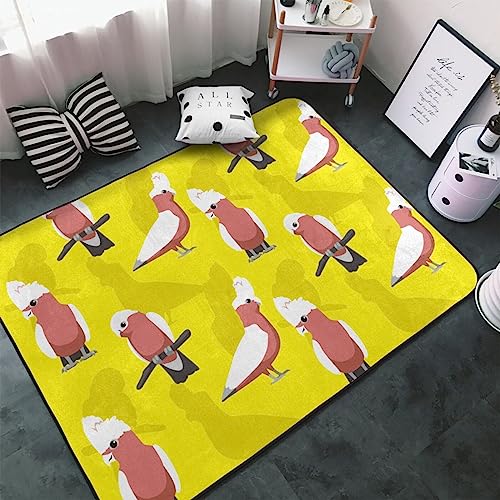 CCR FCR  J[ybg ` O}bg O O~ ėp h_j R h hL ӂƎG lC DtlO g[Ή 􂦂 ~ߕt Aj LN^[  v[g 100 × 150 cm 