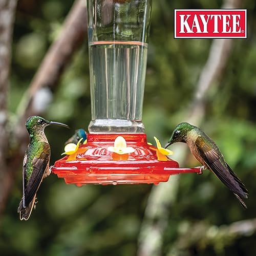 Image of Kaytee Hummingbird ElectroNectar Wild Bird Food,16 oz Concentrate,Makes 128 oz of ElectroNectar,(Pack of 4)