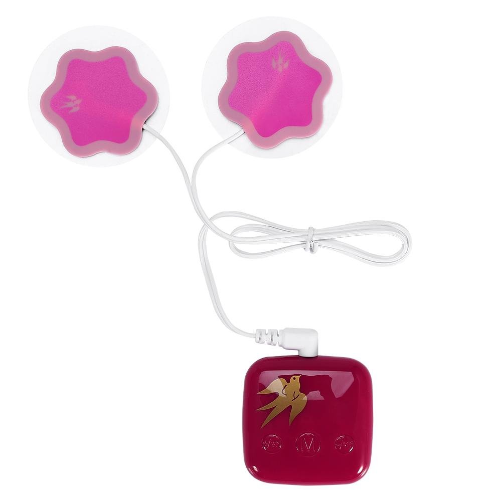 James HealthPlus Menstrual Pain Relief Device,Women Period Pain Massager Device Dysmenorrhea Pain Relief Menstrual Analgesic Pain Relief Body Massage Device (Red)