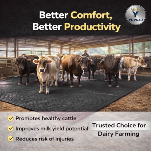 Image of Yuvraj EVA Cow Mat 8x5 Ft for Dairy Farms | Heavy-Duty Non-Slip EVA Floor Mat for Cow & Buffalo | Waterproof, Comfortable & Easy to Clean (Black)