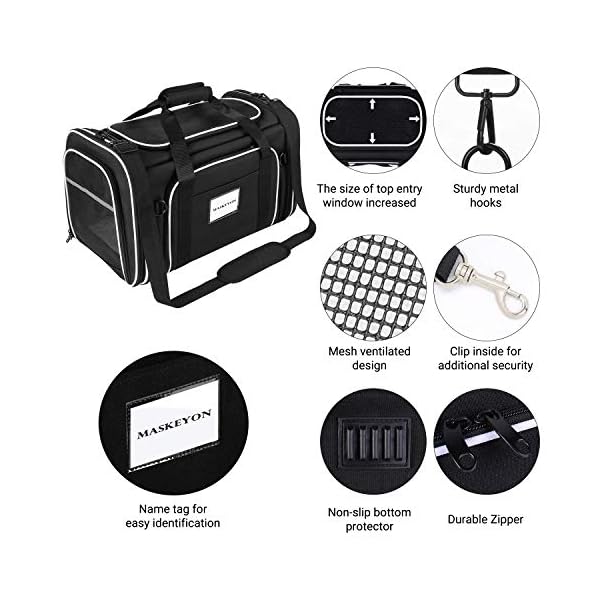 Large Pet Travel Carrier