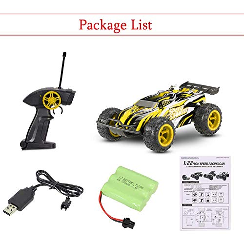 Rabing Remote Control Car, Stunt RC Car Home
