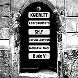  Terminal Velocity (Bode V Remix)