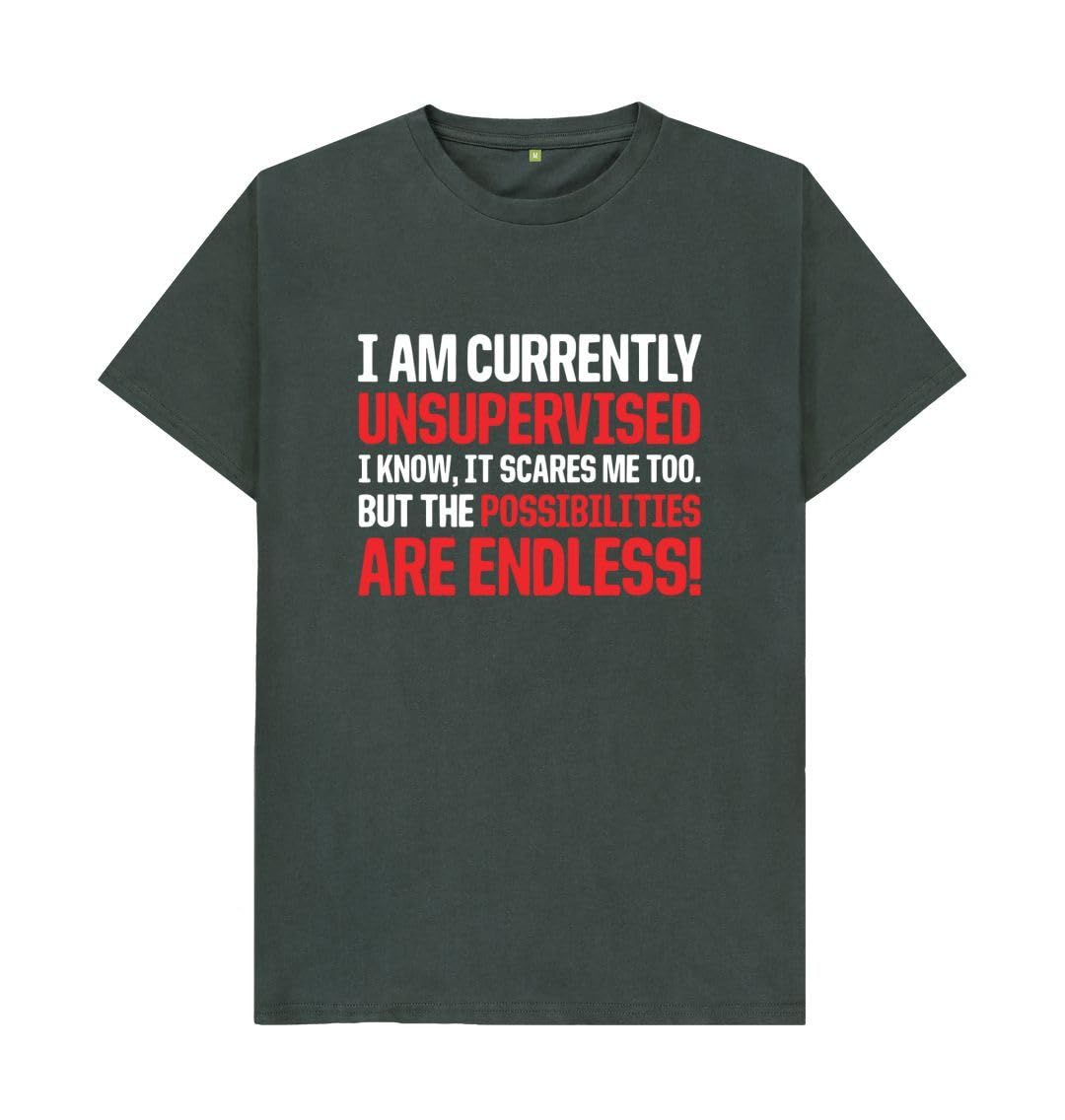 Shirtbox Men's Dark Grey I Am Currently Unsupervised Funny Slogan T-Shirt