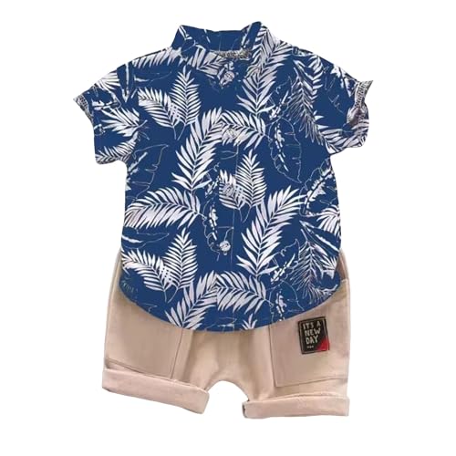 [veolaimy] q j̎q xr[ ĕ ZbgAbv AnVc V[gpc 2_Zbg LbY  ʋC  gbvX Y{ {[CY nC ԕ  [EFA 킢 JWA ʉ ʊw s ][g