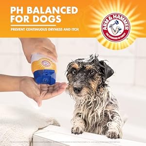 Arm  hammer for pets shed control shampoo 20oz juicy guava scent | professional quality dog shed less shampoo de shedding dog shampoo free of sodium lauryl sulfate  parabens   cucciolini doodles