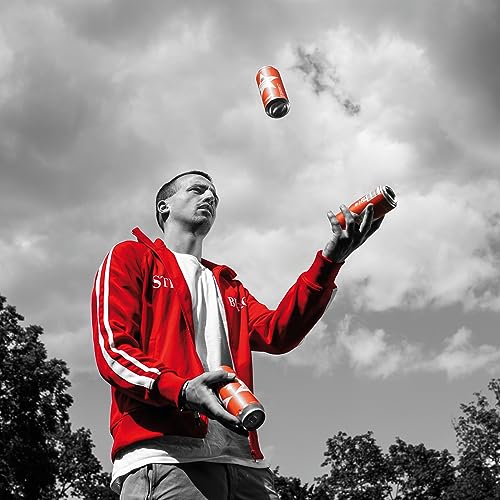 Sternburg Export, EINWEG 24x0,50 L Dose