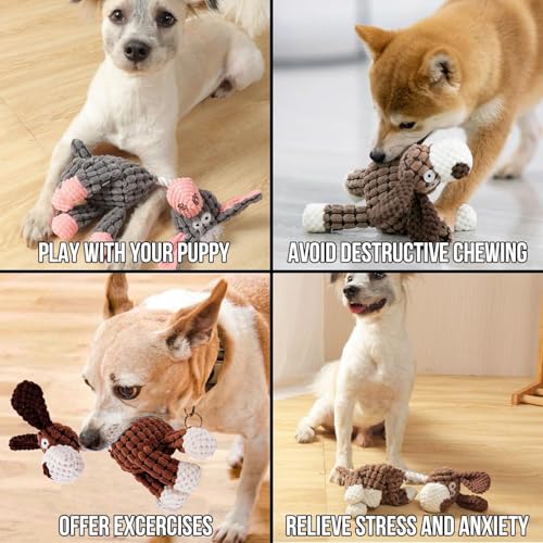 Pack 3 Juguetes Squeaker para Perros de Cuerda miniatura 4