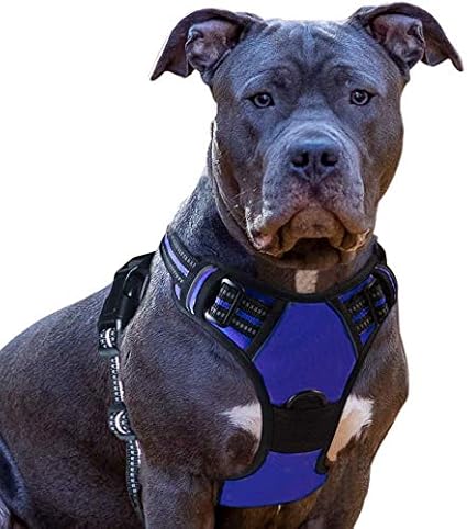 amazon dog harness vest