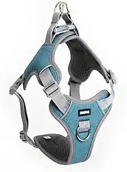 Coleira Peitoral Antipuxão para Cachorro MADOG Comfort (P, Azul)