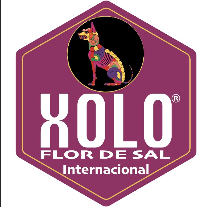 XOLO Fleur de Sel sal fina artesanal 250 g miniatura 3