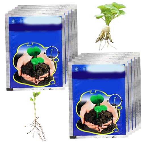Polvo de enraizamiento para esquejes de plantas (10 unidades, 10 g). Hormona de enraizamiento soluble para esquejes. Ácido naftalenacético. Polvo de para trasplantes y manejo