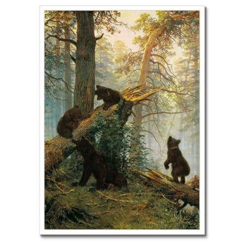 Poster avec cadre noir 50x70 cm Matin dans la forêt de pins H8342M