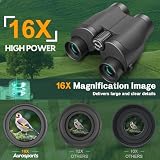 16x32 Fernglas for Erwachsene Kinder - Aurosports High Powered Klein Fernglas für Vogelbeobachtung...