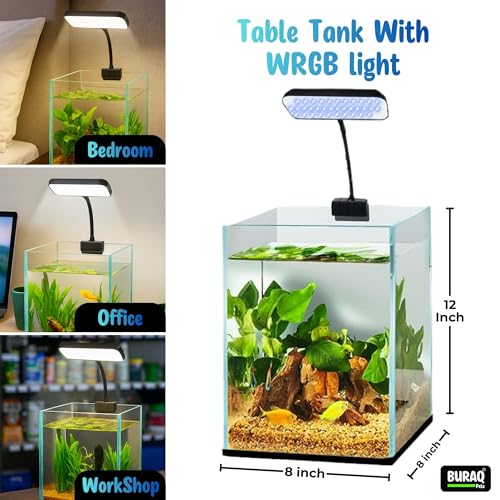 Image of Buraq Ultra Clear Aquarium Glass Fish Tank BL-C04 with WRGB Flat LED Light for Small Fishes