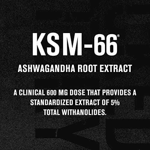 Image of Jacked Factory Ashwagandha Root Extract (KSM-66 Ashwagandha) w / 5% Withanolides - Supplement for Natural Stress Relief, Cognitive Function, Vitality, and Mood Support - 60 Veggie Capsules