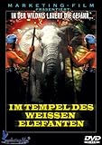 sean flynn alter  Im Tempel des weissen Elefanten
