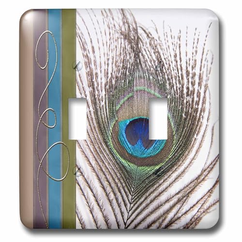 3dRose lsp_202271_2 Peacock Feather with Gold Trim Look - Double Toggle Switch