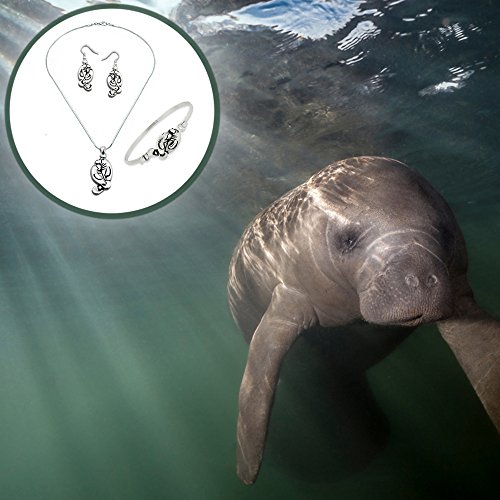 Lola Bella Gifts Manatee Necklace Earrings And Bracelet Set With Gift Box #TOP5
