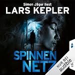 Spinnennetz