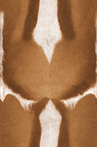 Rasch Tapete - African Queen 2014 - Art. 423013 1 Rasch Tapete - African Queen 2014 - Art. 423013