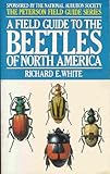 A Field Guide to the Beetles: of North America (Peterson Field Guides)