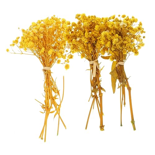 Racimos de flor de paniculata seca OUNONA para decoración natural